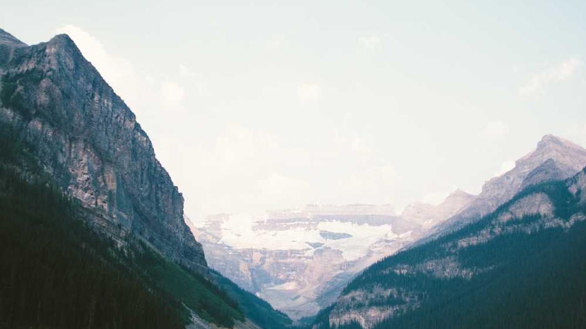 Can Ethereum Long Term Holders Drive Price Past $3,000? - BeInCrypto