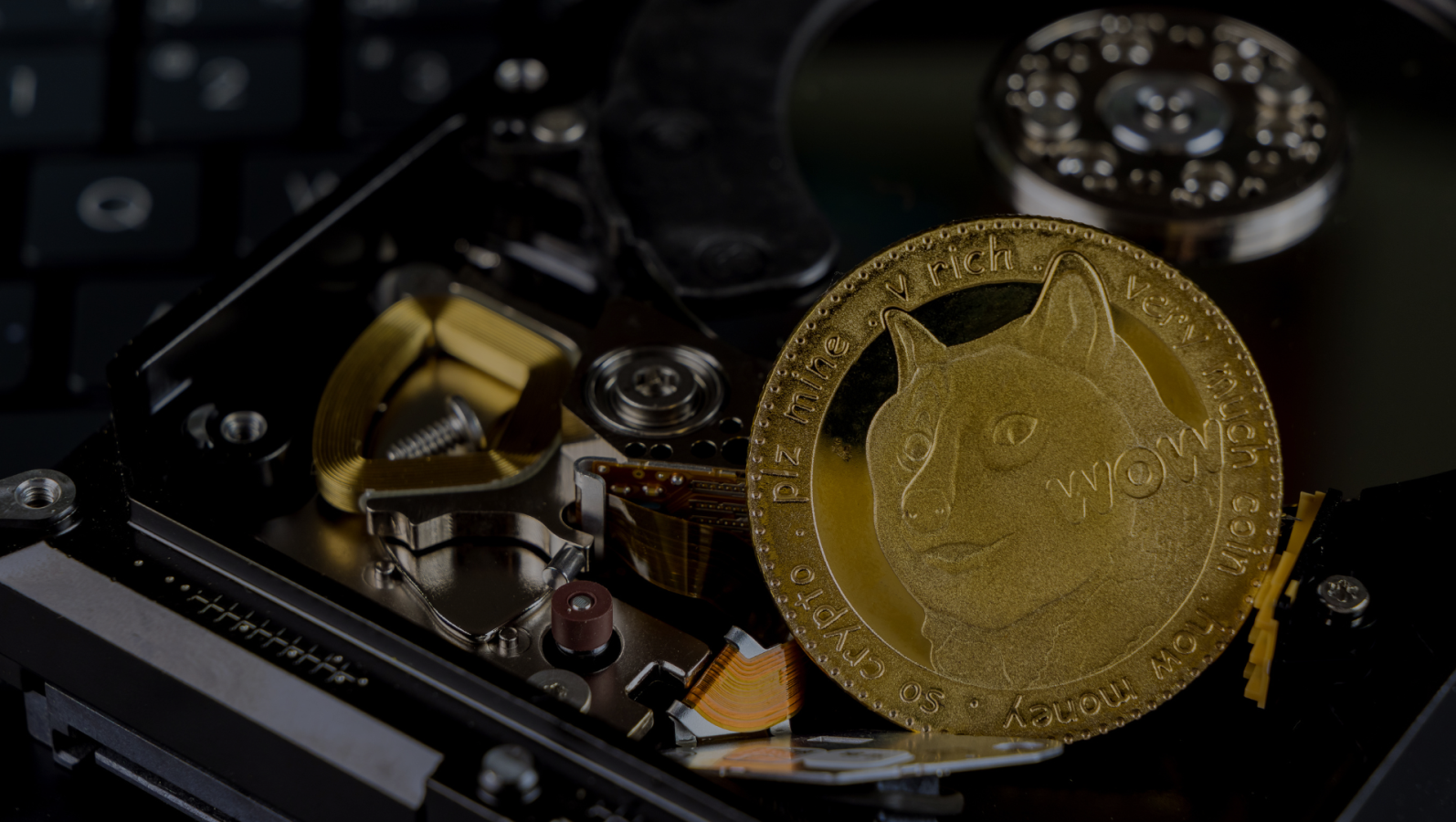 Know Which Type of Crypto Investor You Are to Make Apt Decisions